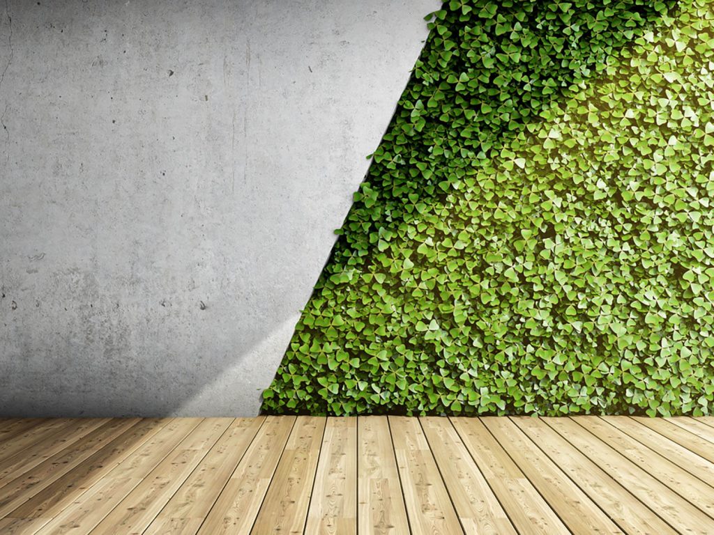 <center><b>Jardines verticales: Un oasis de inspiración</center></b> 2