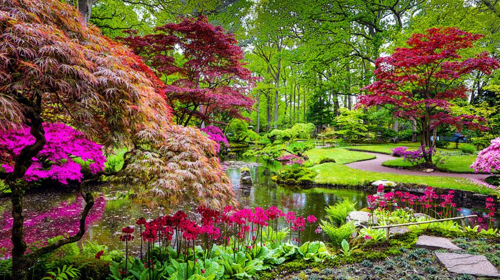 <b><center>Cómo decorar el jardín: Una selección de las mejores ideas que te encantarán</b></center> 20 <b><center>Cómo decorar el jardín: Una selección de las mejores ideas que te encantarán</b></center> 10