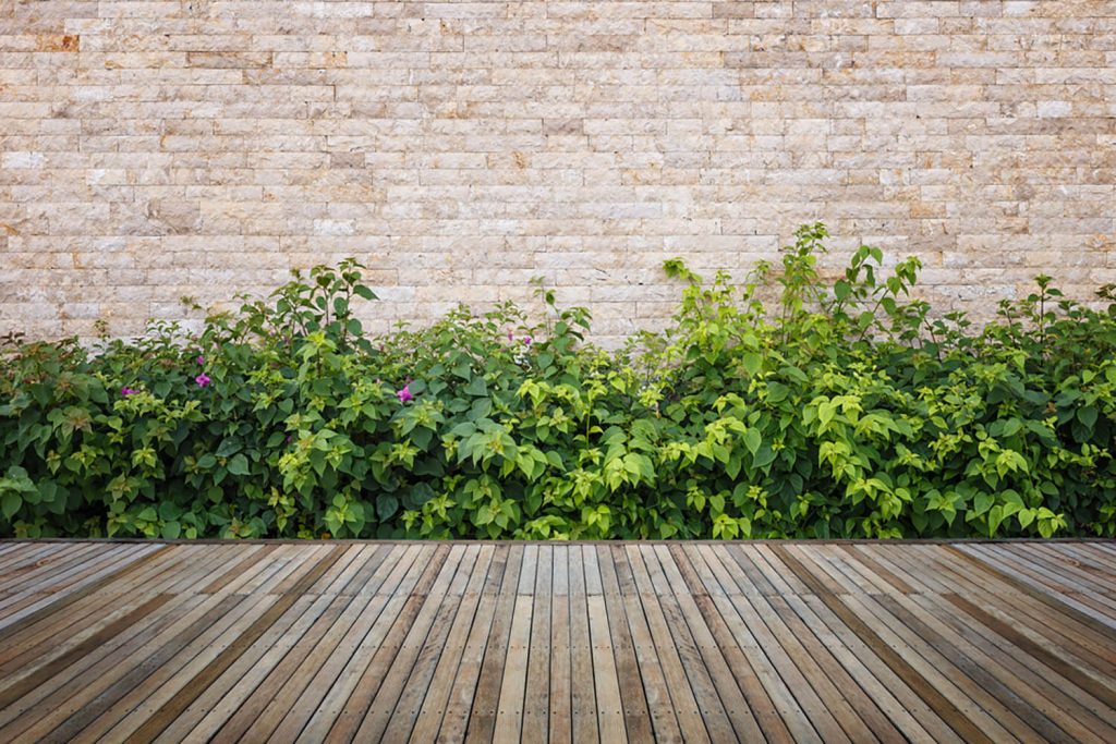 <center><b>Jardines decorativos: Un lienzo en blanco para hacer volar tu imaginación</b></center> 5 <center><b>Jardines decorativos: Un lienzo en blanco para hacer volar tu imaginación</b></center> 4
