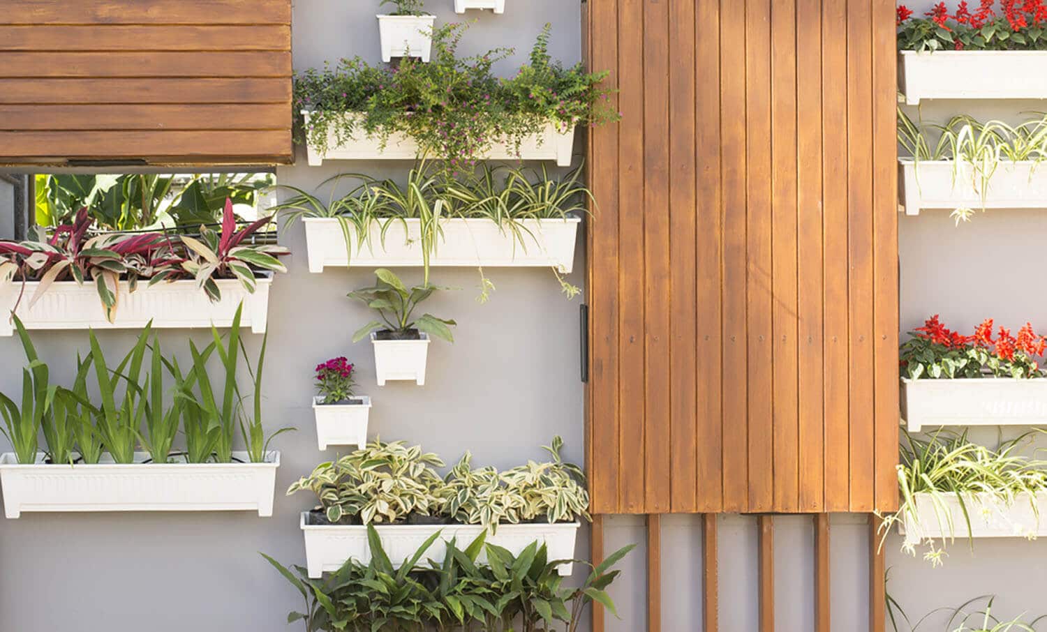 <b><center>Jardines verticales con macetas: ¡Una alternativa que no dejarás de lado!</b></center> 1