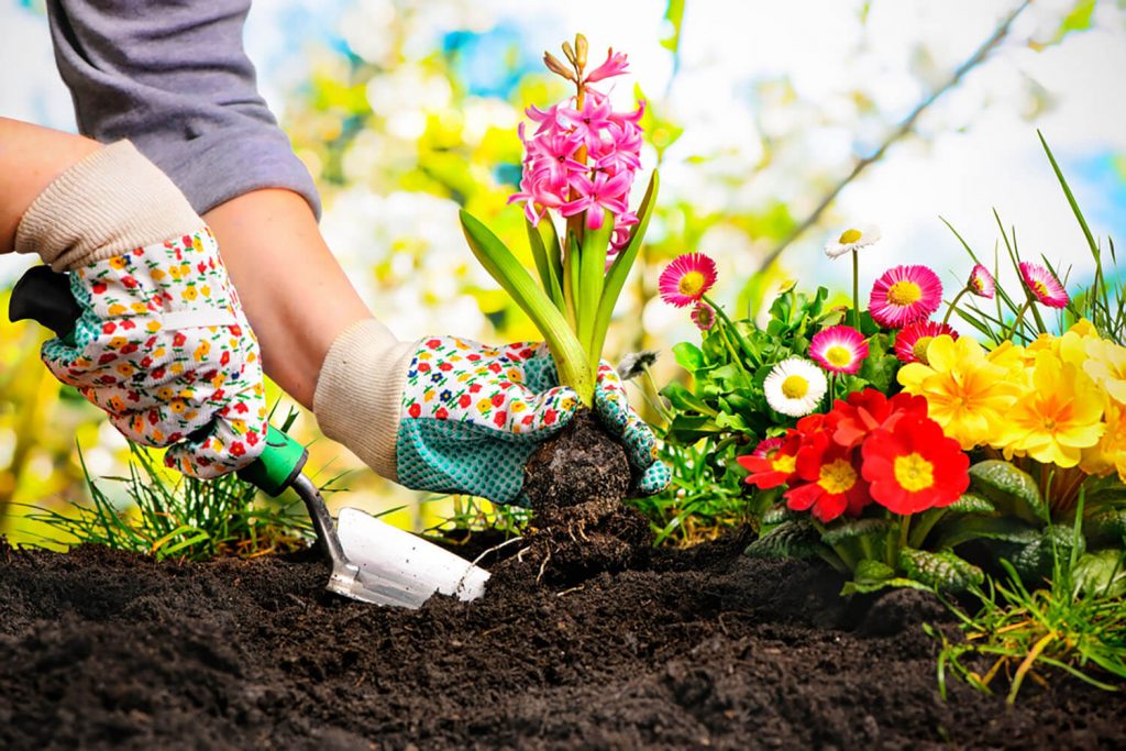 <center><b>Jardines decorativos: Un lienzo en blanco para hacer volar tu imaginación</b></center> 3 <center><b>Jardines decorativos: Un lienzo en blanco para hacer volar tu imaginación</b></center> 2