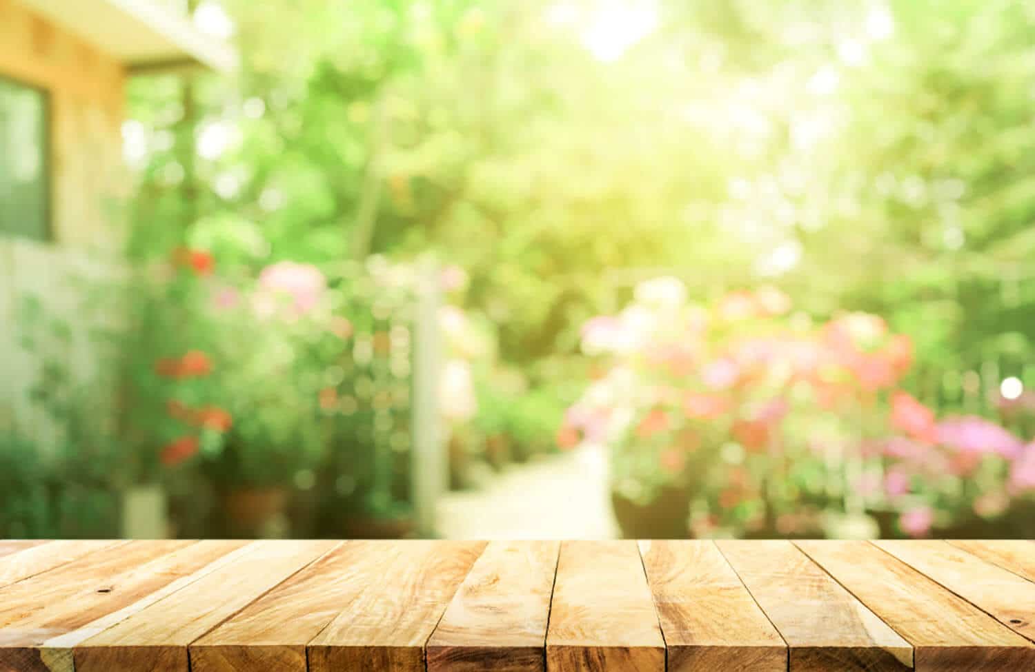 <center><b>Jardines verticales: Un oasis de inspiración</center></b> 1
