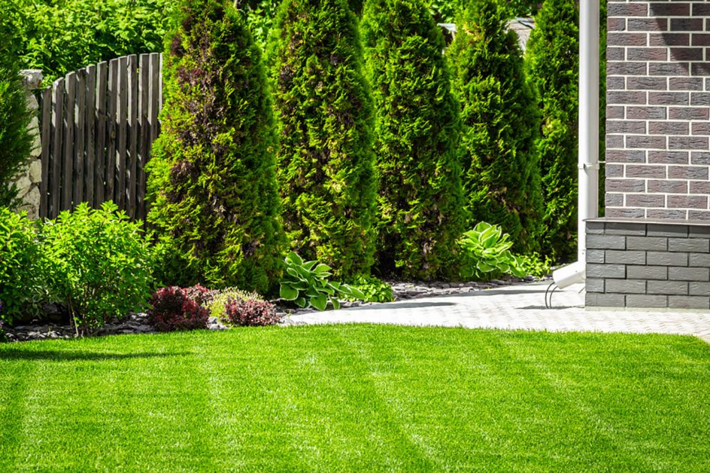 <b><center>¿Cómo hacer jardines verticales?</b></center> 2 Cómo hacer jardines verticales