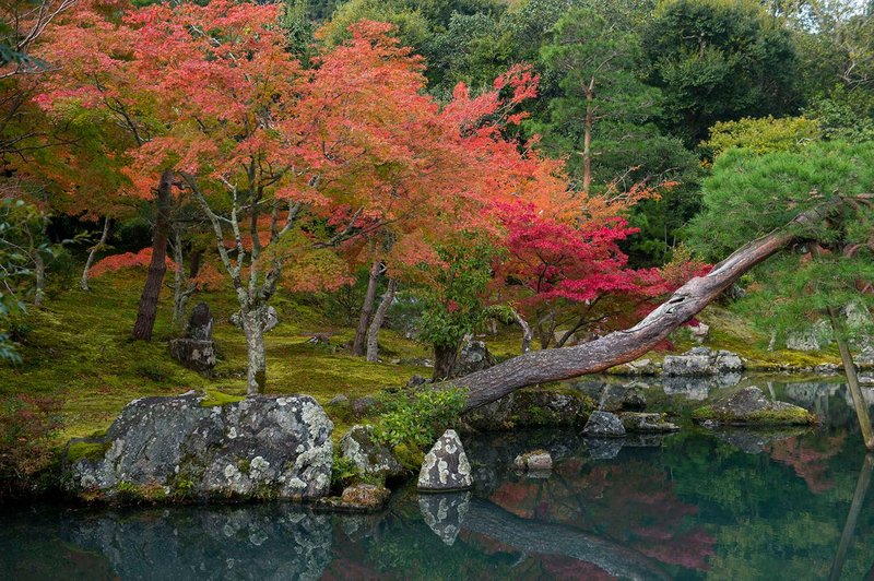 <center><b>Jardines Japoneses: Un símbolo de la eternidad de la naturaleza</center></b> 3 <center><b>Jardines Japoneses: Un símbolo de la eternidad de la naturaleza</center></b> 2