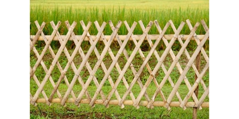 <b><center>Cómo decorar el jardín: Una selección de las mejores ideas que te encantarán</b></center> 14 <b><center>Cómo decorar el jardín: Una selección de las mejores ideas que te encantarán</b></center> 5